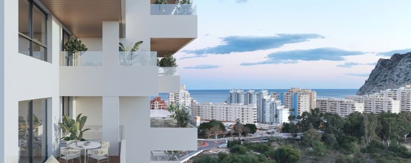 Laguna Homes