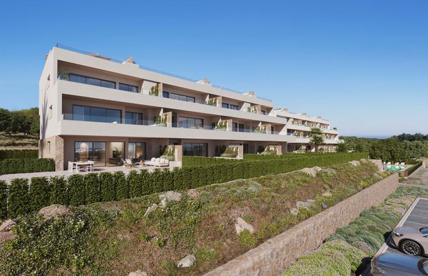 Citrus Apartments