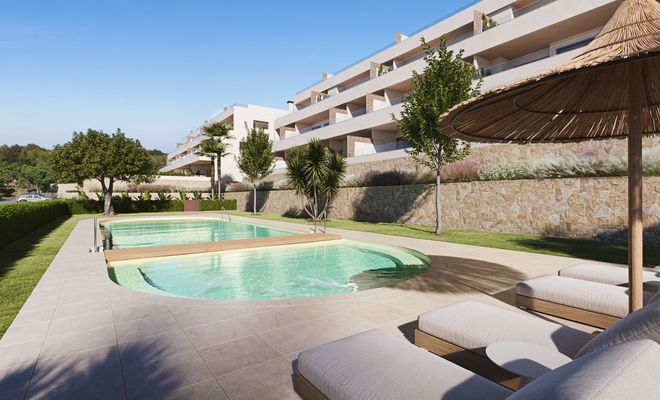Citrus Apartments